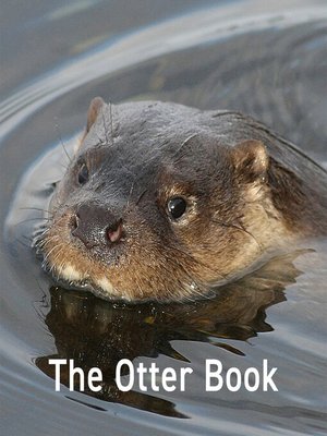 cover image of The Otter Book